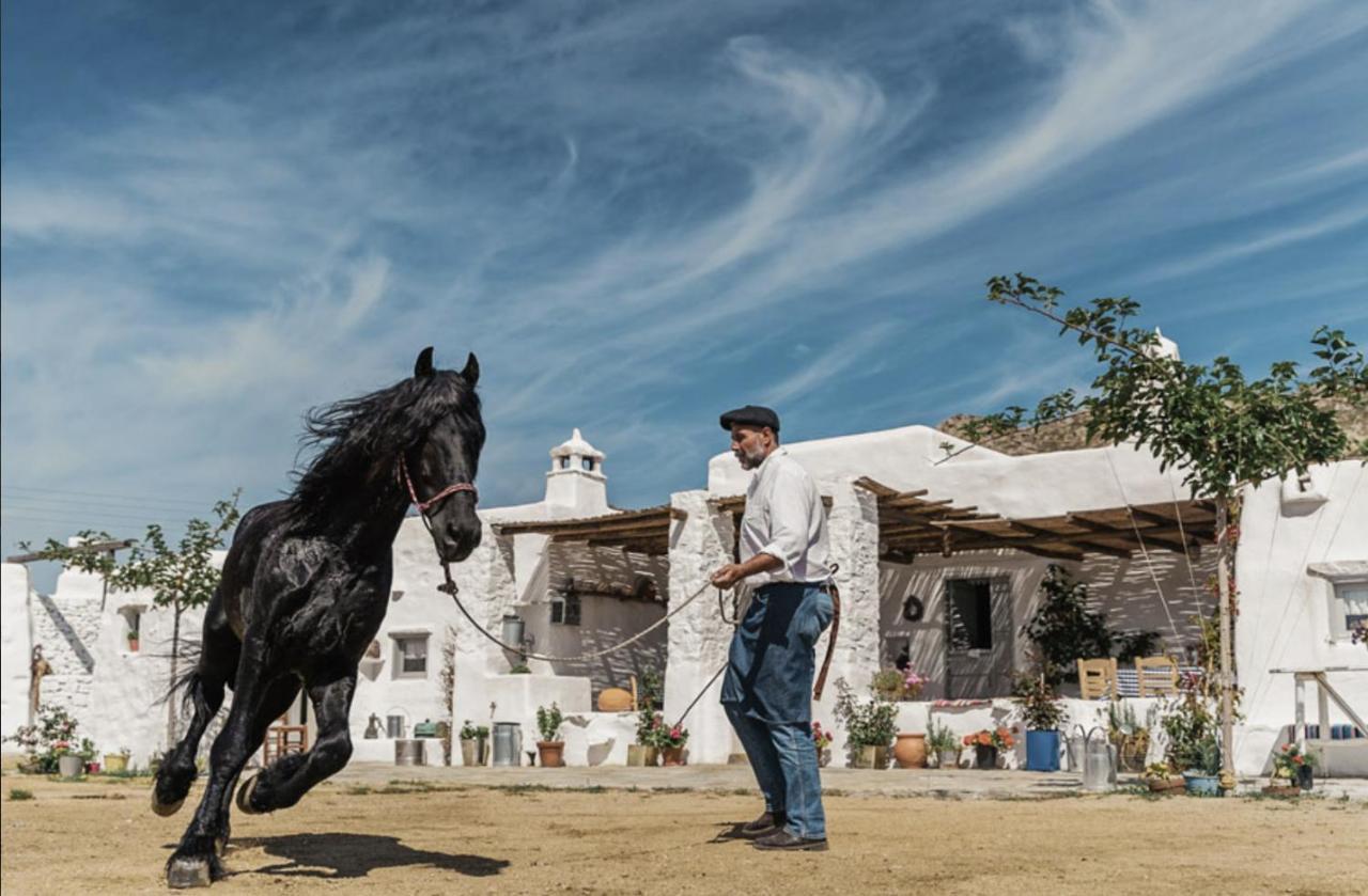 Rizes Mykonos - Folklore Farmstead Mykonos Town Exterior foto